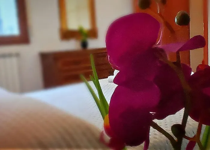 Sieve Flower
