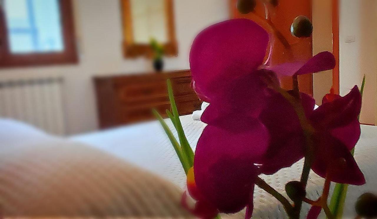 Sieve Flower Apartment Pontassieve